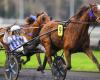 PMU – Arrival of the quinté on Sunday, December 15 at Paris-Vincennes: Inexess Bleu once again intractable