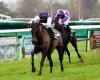 Prix ​​des Guillédines (Gr.3) at Durtal: Lili Ball wins the Diane des AQPS