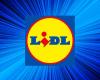 Without warning, Lidl is offering 3 Parkside garden products at unbeatable prices this Sunday