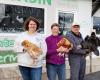 Turkey, capons, chickens… In Calvados, they prepare 3,000 high-end poultry for Christmas