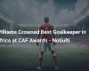 Williams Crowned Best Goalkeeper in Africa at CAF Awards – Notiulti