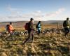 La Maison de l'Aubrac: what future for this community showcase which welcomes 100,000 visitors per year?