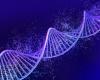 Your DNA shapes your fertility and life expectancy