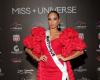 Miss Martinique, Angélique Angarni-Filopon, became Miss France at 34: a former Miss cries scandal