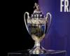 French Cup. The real competition trophy displayed in a supermarket, near Toulouse