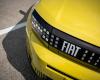 Fiat Grande Panda hybrid: a price close to the 100% electric model?