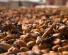 Cocoa prices are rising again amid concerns about production