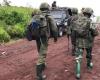 DRC: the M23 reaches Alimbongo, the FARDC’s major barrier since the start of the ceasefire