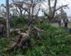 Cyclone Chido in Mayotte: present on site, a geographer from Montpellier takes stock of the consequences of the disaster