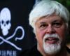 Sea Shepherd’s Paul Watson released from detention in Greenland, avoids extradition to Japan