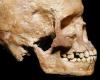 The history of interbreeding between “homo sapiens” and Neanderthals illuminated by two studies