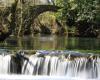 Maintenance and conservation actions for the Belelle River (Neda – Galicia) in the event of possible flooding