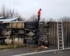 Moselle. A cattle truck stops on the N431 between Fey and Marly, traffic cut off