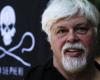 Environmental activist Paul Watson released from prison in Greenland