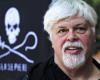 Released from his Danish prison, is Paul Watson out of the woods?