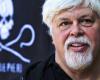 Whaling: Whale defender Paul Watson freed