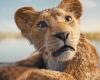 The Lion King Doesn’t Roar Loudly Enough for Criticism on Rotten Tomatoes