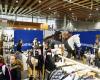 Lille Horse Event: First edition and already a success