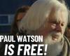 Paul Watson is free! Denmark denies extradition of whale conservationist to Japan