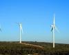 France Nature Environnement takes EDF to court for the death of hundreds of falcons at the foot of the Aumelas wind turbines