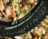 Schwalbe Albert Radial: different approach, conclusive result! ⋆ Vojo