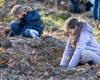 Clamart: children to reforest the Meudon forest