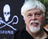 Freed anti-whaling activist Paul Watson won’t face extradition by Denmark to Japan – lawyer