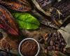 Cocoa prices rise by 50% before the holidays