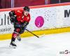 ICE HOCKEY – Coupe de France: The Gothiques ready to take up the challenge in Grenoble