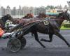 Haitian Fight Song wins the day’s quinté in Vincennes