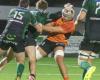 Rugby – National: a third line from Narbonne absent for two or three months, several players returning to resume in January 2025