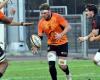 Rugby – National: in the second part of the season, Narbonne has the cards in hand to finish in the Top 2