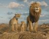 Mufasa: The Lion King review: Brighter, livelier taxidermized IP