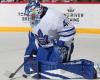 Maple Leafs: Stolarz sidelined for 4 to 6 weeks