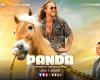 Julien Doré returns for season 2 of “Panda”, discover the broadcast date!