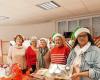 In Lorient, Green Santa Claus from Secours populaire warms hearts in Bois du Château