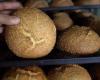 Libre Tribune: Bakery profession in Morocco, what future?