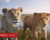 Mufasa | “It contradicts everything established in ‘The Lion King'”: the BBC’s harsh criticism of the new Disney film