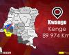 DRC: the decimating disease in Kwango is due to serious malaria, linked to respiratory distress, according to the Ministry of Health