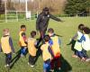 Angoulême: the Basseau football club is overflowing with children