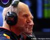 Formula 1 | Briatore: Alpine F1 not yet ready for someone like Newey