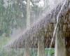 Several spells of showers expected in parts of the country – Sri Lanka Mirror – Right to Know. Power to Change