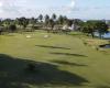 100 million to make Tahiti golf “sexier” for players… And investors