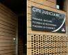 A couple from Dijon sentenced to a fine of a thousand euros for acts of cruelty towards kittens