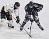 Ice hockey – Coupe de France. It will be Rouen – Angers in the semi-final. Sport