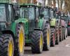 farmers demonstrate in front of the European Parliament in Strasbourg