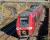 a woman hit by a TER, SNCF traffic suspended between Nîmes and Montpellier