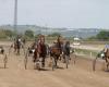 Grenade. At the racecourse, the Grand Prix du Baron d’Ardeuil