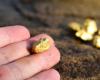 This French region attracts gold prospectors