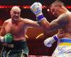 “Who wins between Fury and Oleksandr Usyk? Here’s the favourite, but…”. Boxing expert Fausto Narducci speaks: “Millionaire prizes? Without sense, boxing ratings remain low.” And about Tyson against Paul and Scardina’s heir… – MOW